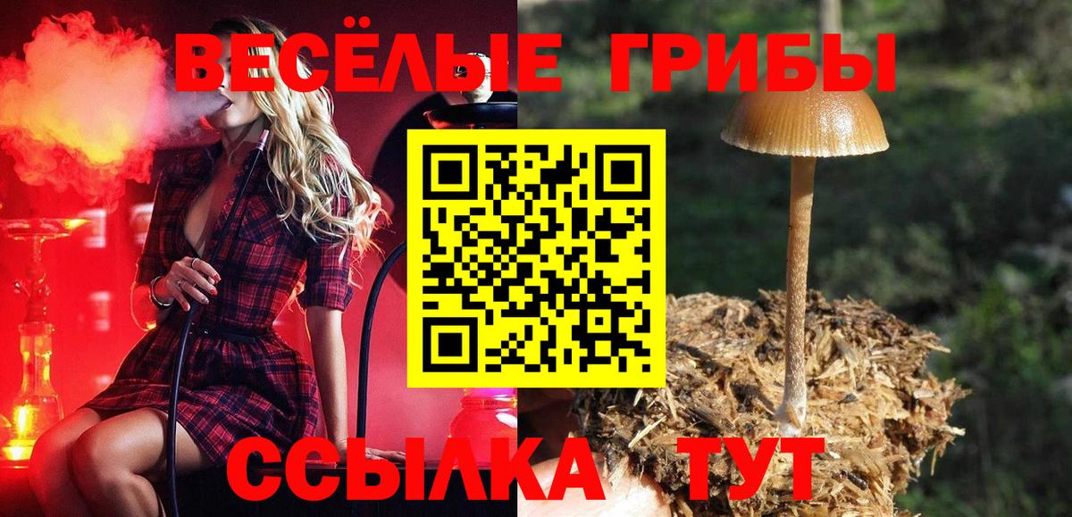 Ижевск  Псилоцибиновые грибы Psilocybine cubensis  Вход с VPN 
